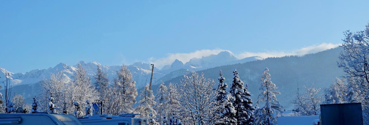 Willa Jarosta & Spa- Free Parking Zakopane Exteriér fotografie